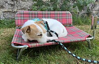 IMG_1580