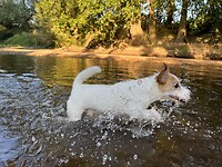 IMG_6144