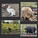 IMG_7879