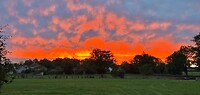 IMG_7877