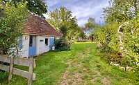 IMG_7845