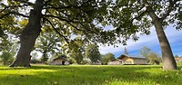 IMG_7837