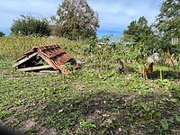 IMG_7828