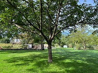 IMG_7822