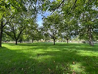 IMG_7820