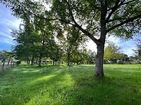 IMG_7815