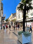 IMG_7791