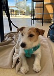 IMG_7743