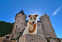 IMG_7635
