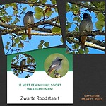 IMG_7732