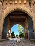 IMG_2144