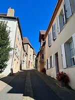 IMG_7683