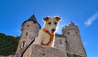 IMG_7632