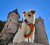 IMG_7621
