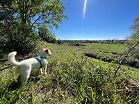 IMG_2122