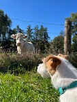 IMG_2113