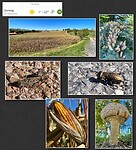 IMG_7545