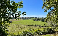 IMG_7525