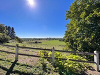 IMG_7524