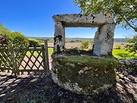 IMG_7501
