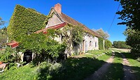 IMG_7497
