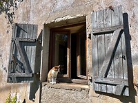 IMG_7495