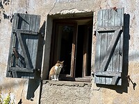 IMG_7493