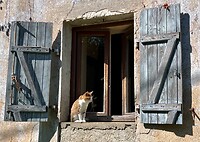 IMG_7492