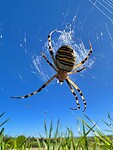 IMG_7487