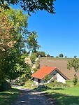 IMG_7476