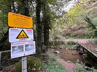IMG_7409
