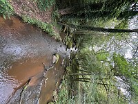 IMG_7407