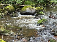 IMG_7405