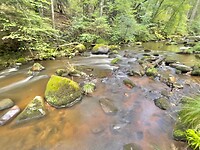 IMG_7403
