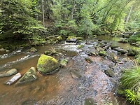 IMG_7402