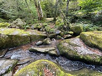 IMG_7401