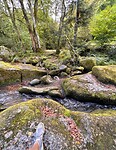 IMG_7400