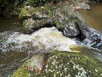 IMG_7399