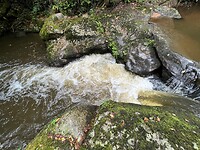 IMG_7398