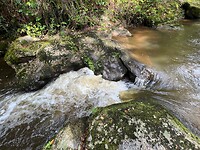 IMG_7395