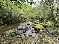 IMG_7394