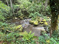 IMG_7393