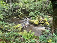 IMG_7392