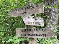 IMG_7391