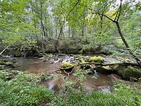 IMG_7386
