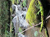 IMG_7385