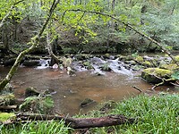IMG_7384