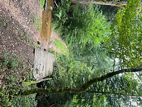 IMG_7383