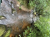 IMG_7381