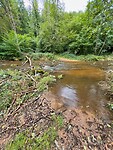 IMG_7379